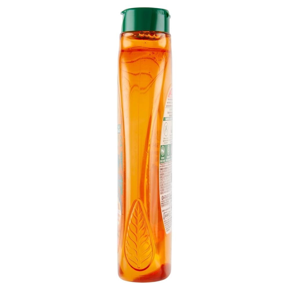 Garnier Ultra Dolce Shampoo 2in1 per Bambini all' albicocca e fiori di cotone, 300 ml